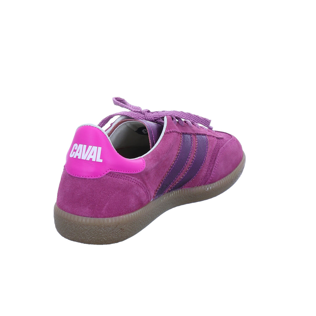 Caval Pulse rot – Ansicht 13