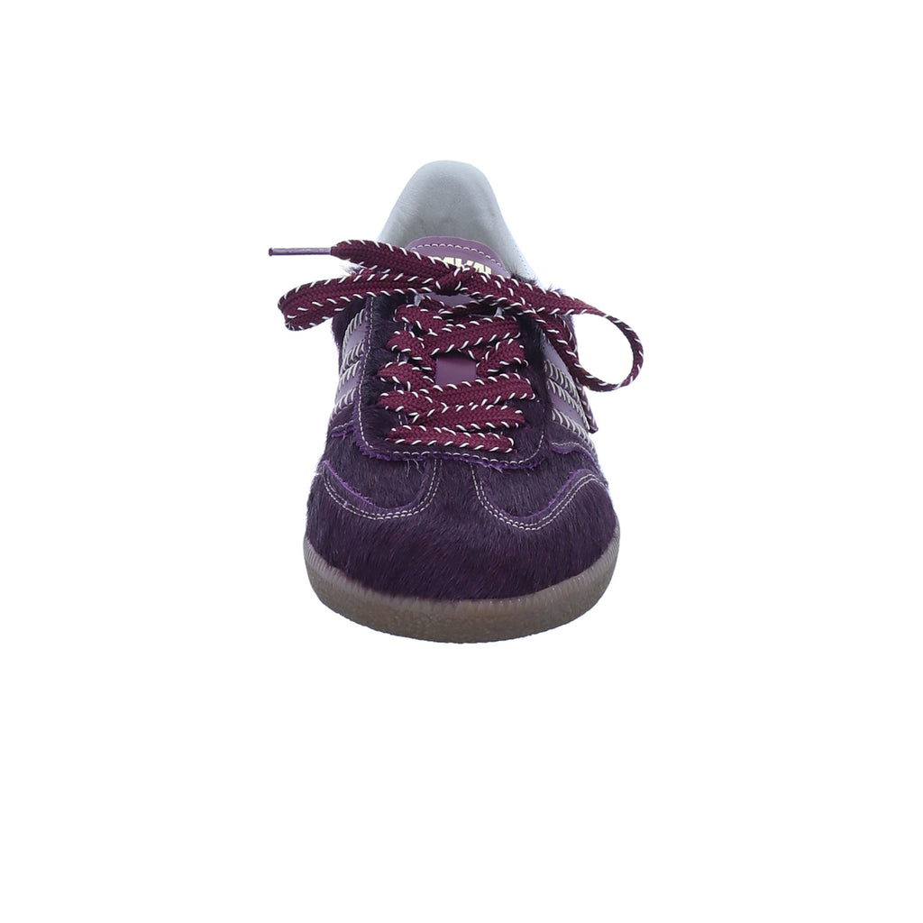 Caval Pulse wild barn – Ansicht 01