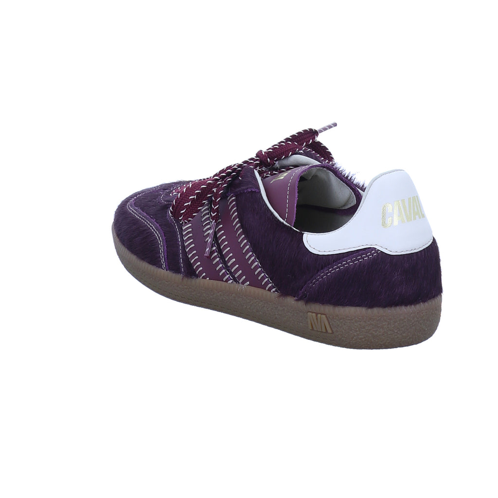 Caval Pulse wild barn – Ansicht 09